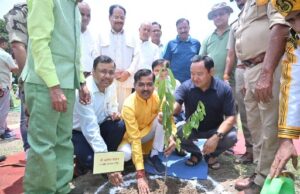 प्रदेश भर में हरेला की धूम, हरिद्वार में हुए विविध कार्यक्रम