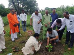 अपनों की याद में पाल समाज ने वृहद स्तर पर किया पौधा रोपण, नगर वन में रोपित किये फलदार व औषधीय वृक्ष