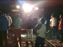 ट्रैन से कट हाथी की मौत, जिम्मेदार कौन? लापरवाह गस्ती दल पर कब होगी कार्यवाही