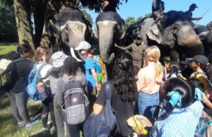 हाथी दिवस पर बच्चो ने लिया वन्यजीव संरक्षण का संकल्प, चीला रेंज में हुए विविध कार्यक्रम