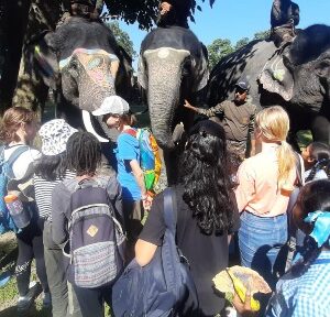 हाथी दिवस पर बच्चो ने लिया वन्यजीव संरक्षण का संकल्प, चीला रेंज में हुए विविध कार्यक्रम