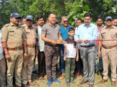 वन्य पर्यटन सीजन की हुई शुरुआत, झिलमिझिल कंजर्वेसन रिज़र्व में पर्यटक कर सकेंगे बारहसिंघों (स्वैम्प डिअर) का दीदार