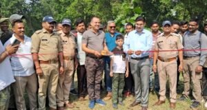 वन्य पर्यटन सीजन की हुई शुरुआत, झिलमिझिल कंजर्वेसन रिज़र्व में पर्यटक कर सकेंगे बारहसिंघों (स्वैम्प डिअर) का दीदार