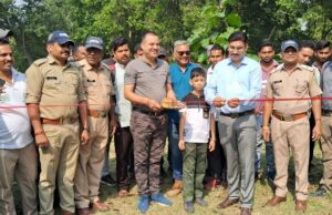 वन्य पर्यटन सीजन की हुई शुरुआत, झिलमिझिल कंजर्वेसन रिज़र्व में पर्यटक कर सकेंगे बारहसिंघों (स्वैम्प डिअर) का दीदार