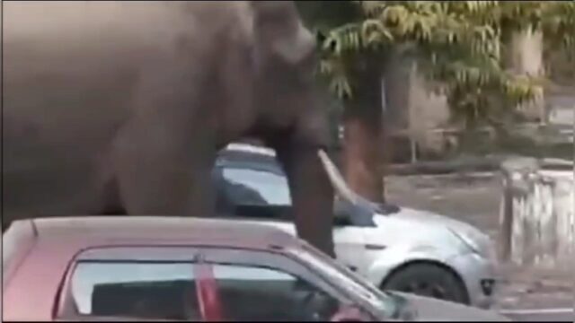 VideoCapture_20231227-210101