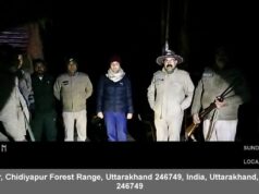 नव वर्ष पर रहा जंगलों में कड़ा पहरा, अधिकारियों समेत वनकर्मियों की टीमो ने रखी चप्पे चप्पे पर नजर