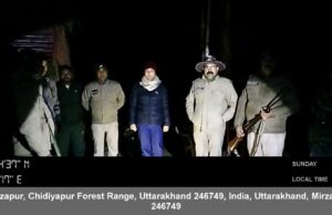 नव वर्ष पर रहा जंगलों में कड़ा पहरा, अधिकारियों समेत वनकर्मियों की टीमो ने रखी चप्पे चप्पे पर नजर