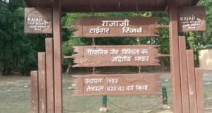 खबर का असर, बाघों के कॉरिडोर में घुसने वाले पालतू मवेशीयों को रोकने के लिए रेंजर व अधिकारियों ने खुद संभाला मोर्चा