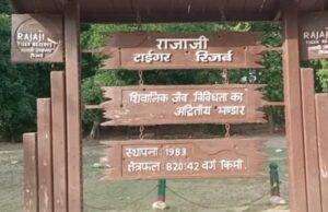 खबर का असर, बाघों के कॉरिडोर में घुसने वाले पालतू मवेशीयों को रोकने के लिए रेंजर व अधिकारियों ने खुद संभाला मोर्चा
