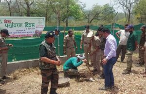 विश्व पर्यावरण दिवस पर विविध स्थानों में हुआ पौध रोपण, पर्यावरण बचाने का लिया संकल्प