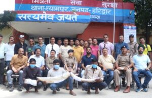 वन्यजीव तस्करों के ख़िलाफ़ एसटीएफ ने की बड़ी कारवाही, 14 किलो हाथी दांत के साथ तीन अन्तर्राजिय वन्यजीव तस्कर गिरफ्तार