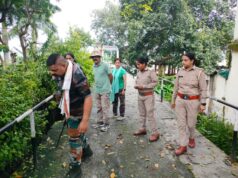 30 घंटे बीतने के बाद भी, नहीं दिखा गुलदार, तलाश जारी