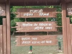 रो रहे जंगल, मौन है वन्यजीव,काँवड़ के बाद बुरा है जंगलो का हाल, जिम्मेदार महानुभाव क्या लेंगे इसकी जिम्मेदारी