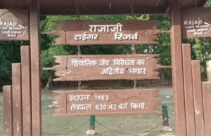 रो रहे जंगल, मौन है वन्यजीव,काँवड़ के बाद बुरा है जंगलो का हाल, जिम्मेदार महानुभाव क्या लेंगे इसकी जिम्मेदारी