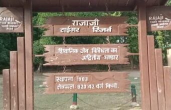 रो रहे जंगल, मौन है वन्यजीव,काँवड़ के बाद बुरा है जंगलो का हाल, जिम्मेदार महानुभाव क्या लेंगे इसकी जिम्मेदारी