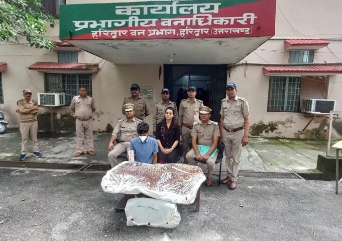 गुलदार की खाल के साथ एक व्यक्ति गिरफ्तार, कब, कंहा, कैसे, और किसने किया शिकार, जांच जारी