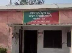 लक्सर क्षेत्र मे खैर तस्करो का आतंक, डीएफओ हुए सख्त, तो नींद से जागे पतरोल, जांच मे निकले दोषी तो होंगी कारवाही