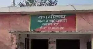 लक्सर क्षेत्र मे खैर तस्करो का आतंक, डीएफओ हुए सख्त, तो नींद से जागे पतरोल, जांच मे निकले दोषी तो होंगी कारवाही