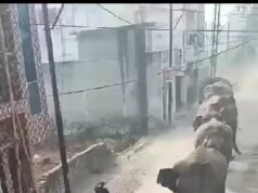 हरिद्वार में नहीं थम रहा गजराजो का आतंक, कभी भी घट सकती है मानव वन्यजीव संघर्ष की घटना