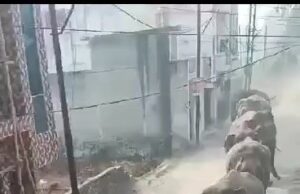 हरिद्वार में नहीं थम रहा गजराजो का आतंक, कभी भी घट सकती है मानव वन्यजीव संघर्ष की घटना