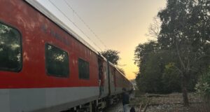 ऋषिकेश -हरिद्वार रेल मार्ग पर गिरा पेड़, वन कर्मियों व रेलवे की टीम ने कड़ी मसक्कत के बाद पेड़ को हटाया