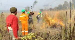फायर सीजन से पूर्व वन महकमा जुटा तैयारियों मे, राजाजी मे प्रशिक्षण कार्यशालाए शुरू