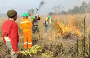 फायर सीजन से पूर्व वन महकमा जुटा तैयारियों मे, राजाजी मे प्रशिक्षण कार्यशालाए शुरू