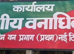 टिहरी डैम वन प्रभाग प्रथम ने वनाग्नि को लेकर की तैयारियां पूरी, 121 गोष्ठीयो व कई नुककड़ सभाओ के माध्यम से चलाया जनजागरूकता अभियान