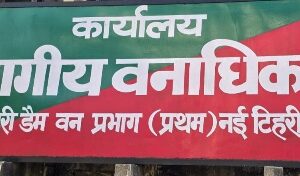 टिहरी डैम वन प्रभाग प्रथम ने वनाग्नि को लेकर की तैयारियां पूरी, 121 गोष्ठीयो व कई नुककड़ सभाओ के माध्यम से चलाया जनजागरूकता अभियान