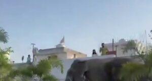 अस्पताल मे गजराज की धमक, आफत मे सिस्टम, कब होगा समस्या का निराकरण