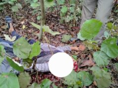 जंगल मे मिला युवक का शव, किसने किया शिकार , वन महकमा जुटा जांच मे