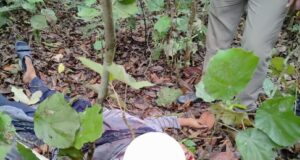 जंगल मे मिला युवक का शव, किसने किया शिकार , वन महकमा जुटा जांच मे