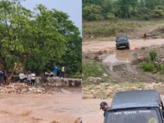 भारी बारिश ने मचाई आफत, जंगल मे फसी 15 जिप्सिया