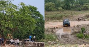 भारी बारिश ने मचाई आफत, जंगल मे फसी 15 जिप्सिया