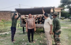 अवैध पातन कर रहे एक युवक को दबोचा, वन अधिनियम के तहत भेजा जेल