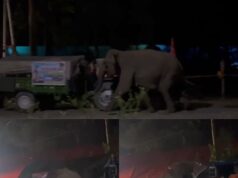 कांवड़ के दौरान वन छेत्रो मे लगे भंडारे बने आफत, डीजे के भारी शोर से बिदके जंगली हाथी ने सिखाया सबक