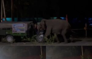 कांवड़ के दौरान वन छेत्रो मे लगे भंडारे बने आफत, डीजे के भारी शोर से बिदके जंगली हाथी ने सिखाया सबक