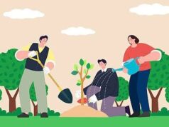 राज्य मे “हरेला” की तैयारियां शुरू, बीते कई वर्षो मे रोपे गए पौधो मे, कितने टिके, बना बड़ा सवाल