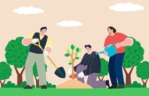 राज्य मे “हरेला” की तैयारियां शुरू, बीते कई वर्षो मे रोपे गए पौधो मे, कितने टिके, बना बड़ा सवाल