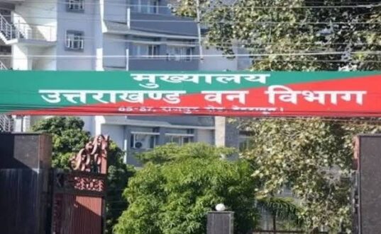 शेर आया शेर आया के बीच आ गई शेरनी, एक ओर गुलदार तो दूसरी ओर वनो के मुखिया… चर्चा बनी कॉमेडी