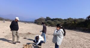 बिछुड़े गजराजो का आशियाना बना राजाजी, श्यामपुर से लाया गया नन्हा गज शिशु