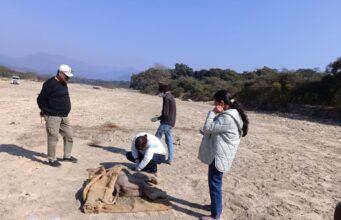 बिछुड़े गजराजो का आशियाना बना राजाजी, श्यामपुर से लाया गया नन्हा गज शिशु