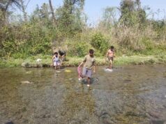 अलर्ट मोड में वन महकमा,होली में वन छेत्रो में किया हुड़दंग, तो होगी कार्यवाही