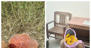 हरिद्वार वन प्रभाग में पेड़ों पर चली आरी, एक अभियुक्त गिरफ्तार, अन्य की तलाश जारी
