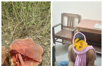 हरिद्वार वन प्रभाग में पेड़ों पर चली आरी, एक अभियुक्त गिरफ्तार, अन्य की तलाश जारी