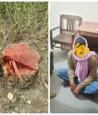 हरिद्वार वन प्रभाग में पेड़ों पर चली आरी, एक अभियुक्त गिरफ्तार, अन्य की तलाश जारी