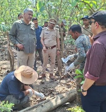 बाघ के शिकार के बाद नींद से जगा वन महकमा, एक शिकारी गिरफ्तार दूसरा फरार